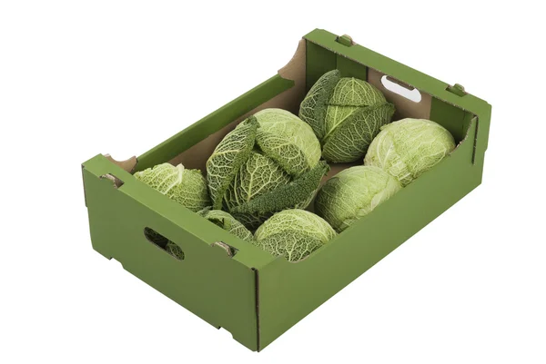 Krabice kales — Stock fotografie