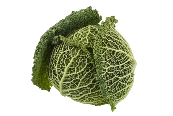 Kale Cabbage — Stock Photo, Image