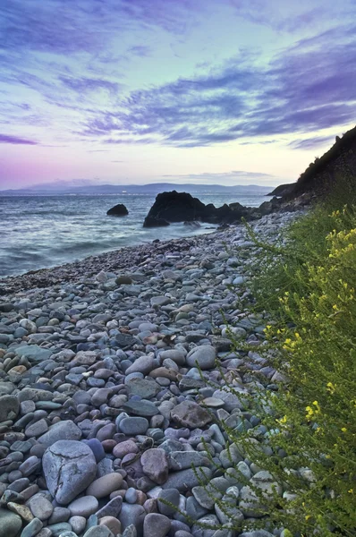 Камни и береговая линия — стоковое фото