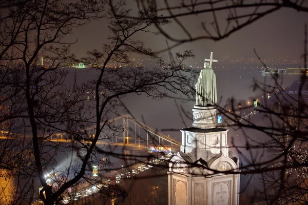 Пам'ятник Prince Vladimir у нічний час — стокове фото