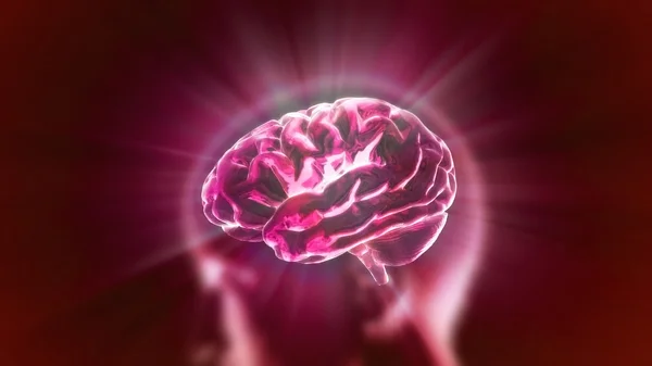 Mozek červené světlice — Stock fotografie