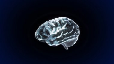 White crystal brain still render clipart