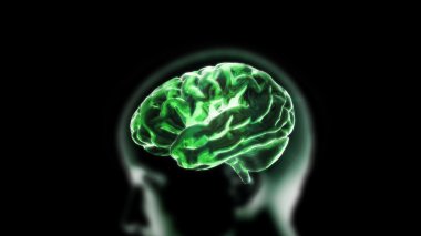 Yeşil Kristal beyin ve baş