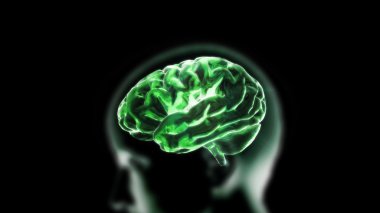 Green crystal brain and head clipart