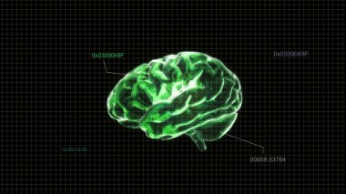 Green crystal brain timecode clipart