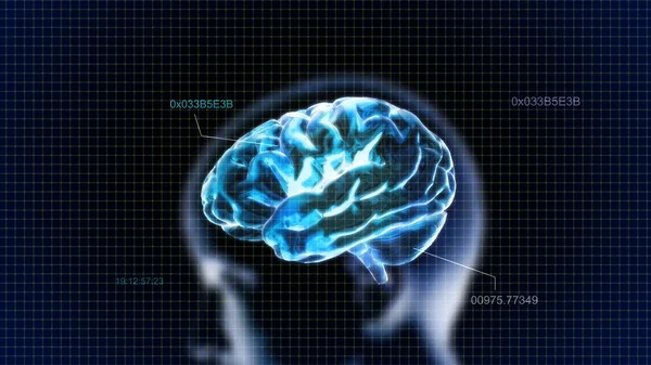 Cerebro de cristal azul con cabeza y código — Foto de Stock