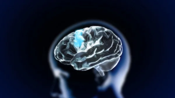 The crystal brain part9 — Stock Photo, Image