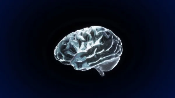 화이트 크리스탈 두뇌 여전히 렌더링 — 스톡 사진