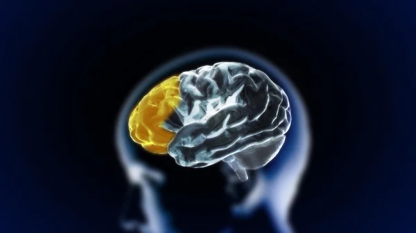Mozek Díl10 krystal — Stock fotografie