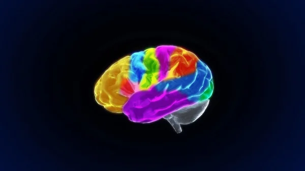 Färg delar kristall hjärna fortfarande göra — Stockfoto