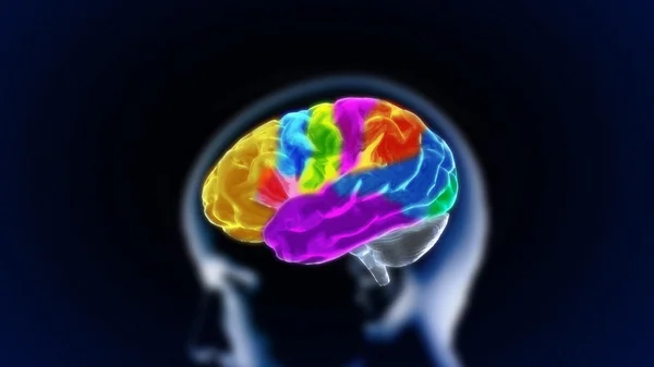 El cerebro de cristal part11 — Foto de Stock