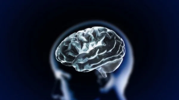 De crystal hersenen part1 — Stockfoto