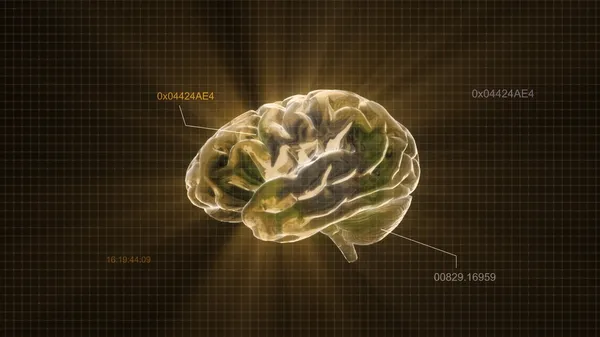 Gold crystal brain timecode — Stock Photo, Image