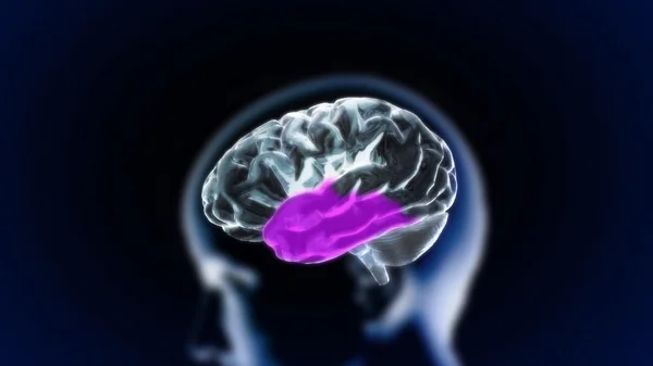 O cérebro de cristal part4 — Fotografia de Stock