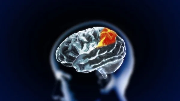 La parte cerebrale cristalla6 — Foto Stock