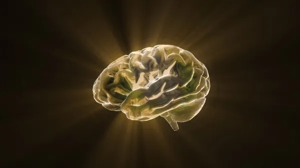 Gold crystal brain still render — Stock Photo, Image