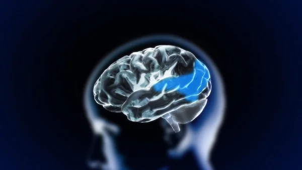 Mozek part7 krystal — Stock fotografie