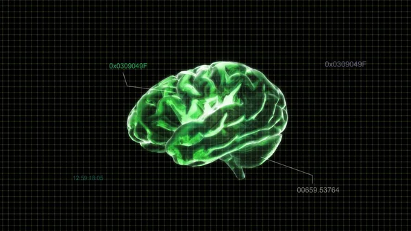 グリーン クリスタル脳タイムコード — ストック写真