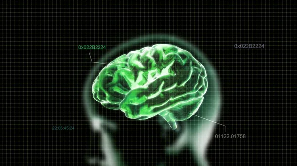 Cérebro de cristal verde e código de tempo da cabeça — Fotografia de Stock