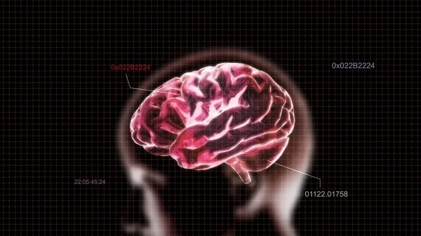 赤い水晶の脳と頭のタイムコード — ストック写真