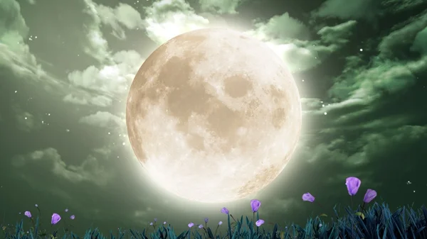 Moon in the night sky — Stock Photo, Image