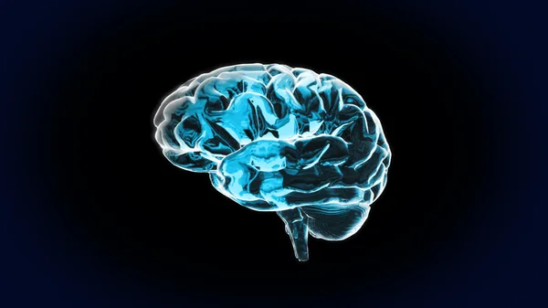O cérebro de cristal azul — Fotografia de Stock