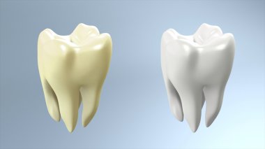Tooth compare white background clipart