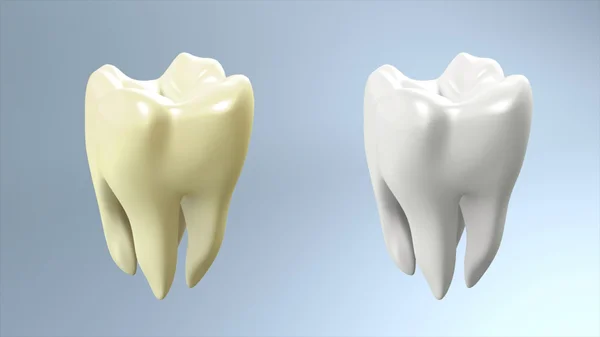 Зуб порівняти білий фон — стокове фото