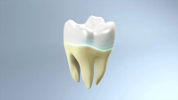 Жовтий зуб білий зуб — стокове фото