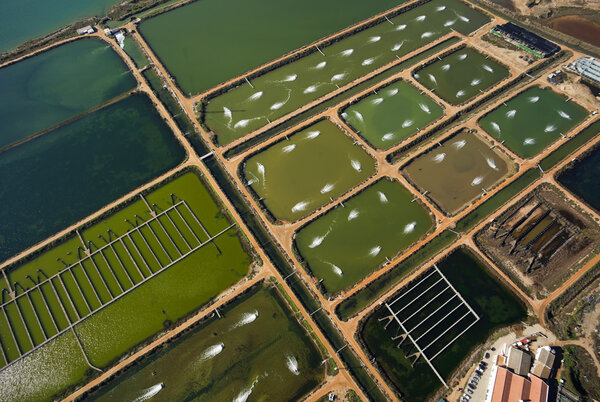 Aerial view of a fish farm