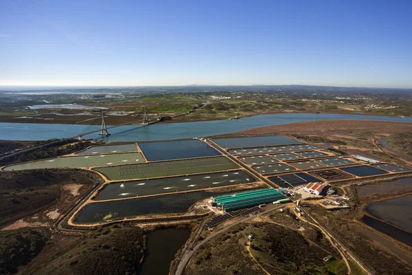 Вид с воздуха на рыбную ферму — стоковое фото