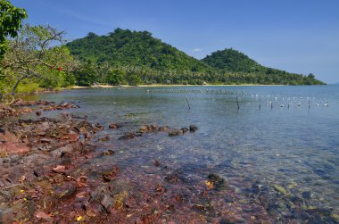 Red rocks and translucid sea at Cambodian island clipart