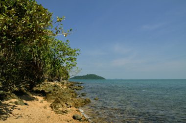 Tavşan Adası sahil tarafında views