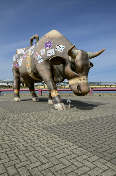 The traveler cow of Ventspils - Latvia