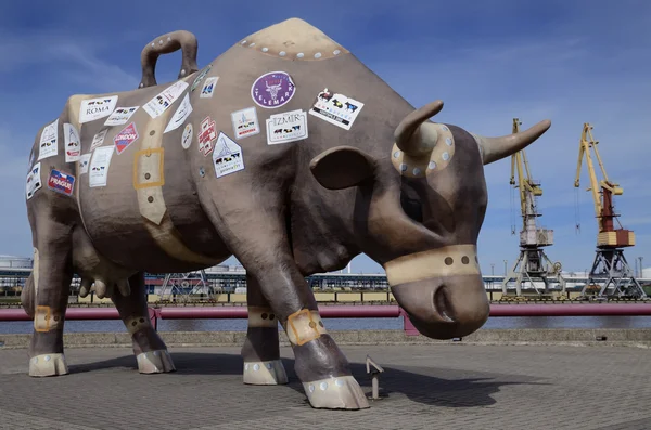 A vaca itinerante em Ventspils - Letónia Imagem De Stock