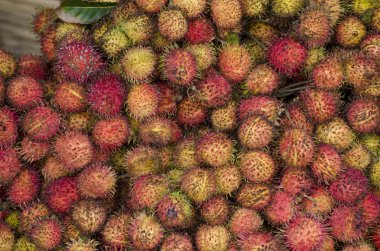 Rambutan