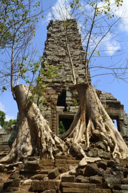 vasıl angkor Kamboçya Preah palilay