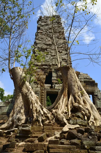 Preah Palilay au Cambodge à Angkor Photos De Stock Libres De Droits