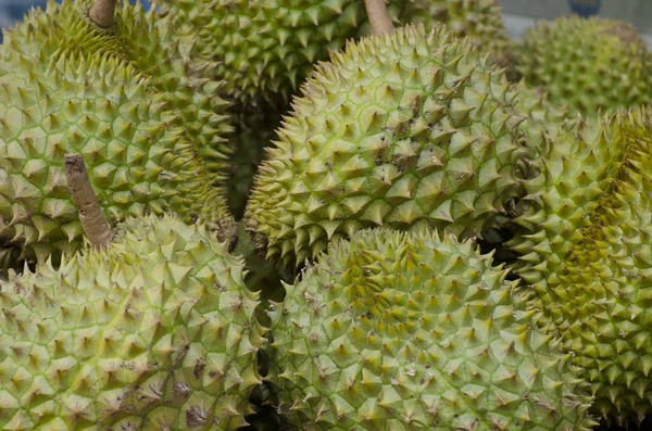Durian — Stock Fotó