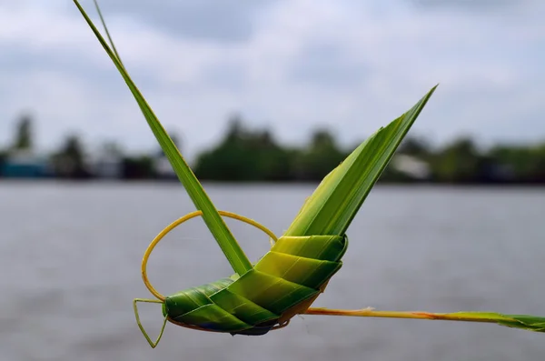 Ručně vyrobený drak z palmového listí — Stock fotografie