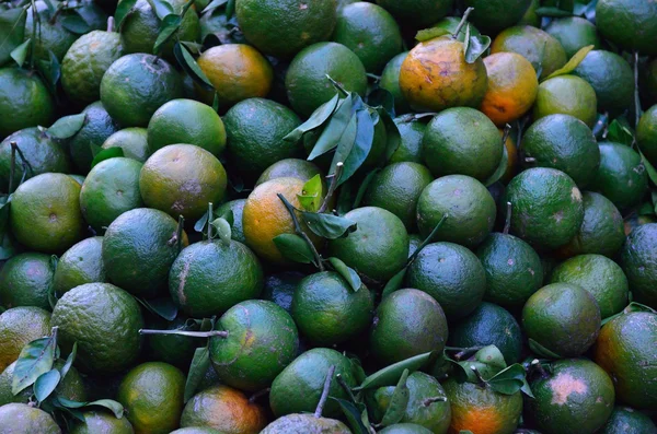 Green Vietnamese mandarines — Stock Photo, Image