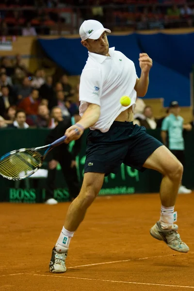 Andy Roddick — Stockfoto