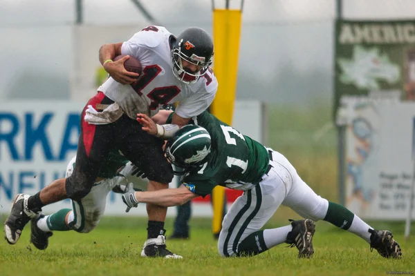 Dragons vs. Lions — Stockfoto