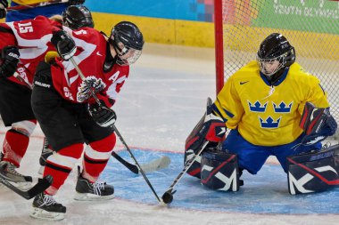 Gençlik Olimpiyat Oyunları 2012