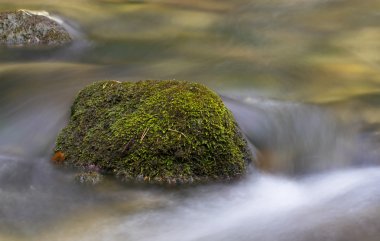 Rocks in a streamlet clipart