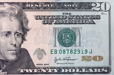 20 dolarlık banknot