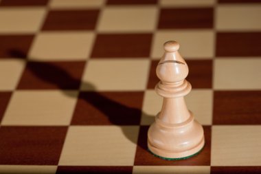 Satranç taşını - bir satranç tahtası üzerinde beyaz fil.