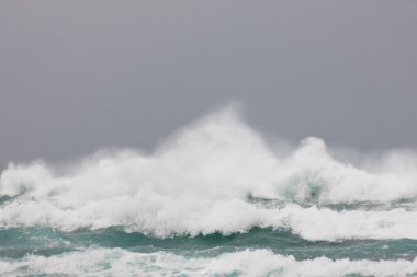 Fırtına dalgaları Tsitsikamma Milli Parkı breaking