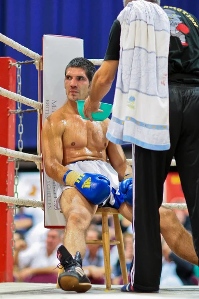 チャリティー ボクシングの 2009 — ストック写真