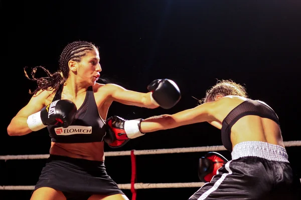 チャリティー ボクシングの 2009 — ストック写真